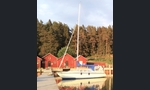 Sunwind 311-kuva-10